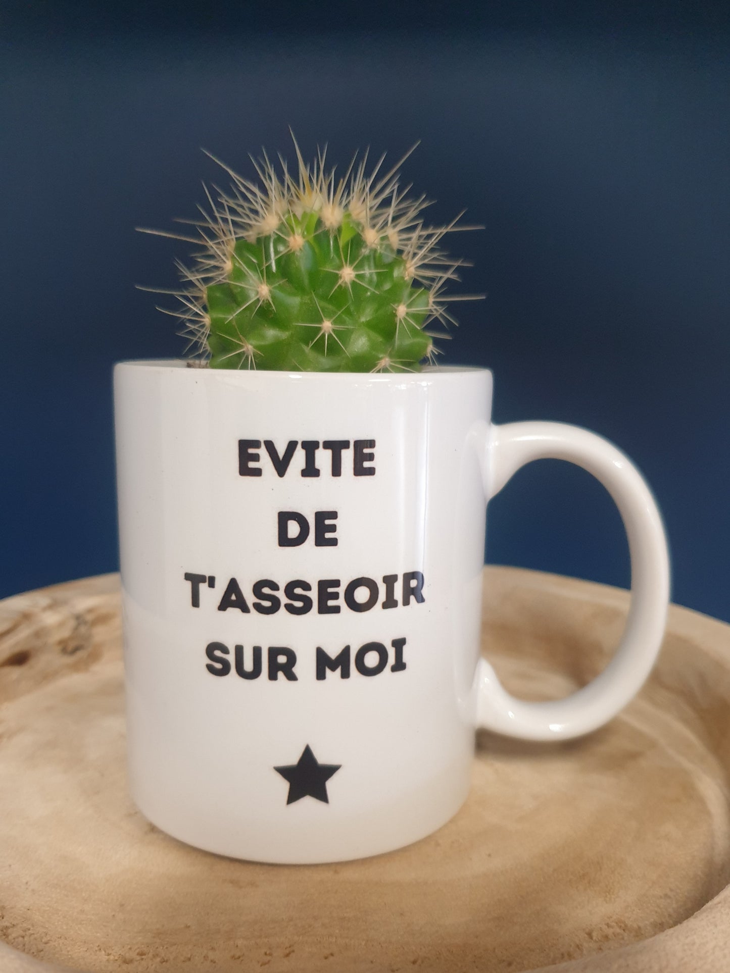 Mug - Evite de t'asseoir sur moi