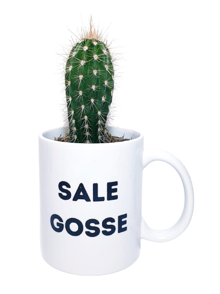 Mug - Sale gosse
