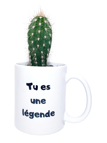 Mug - Tu es une légende