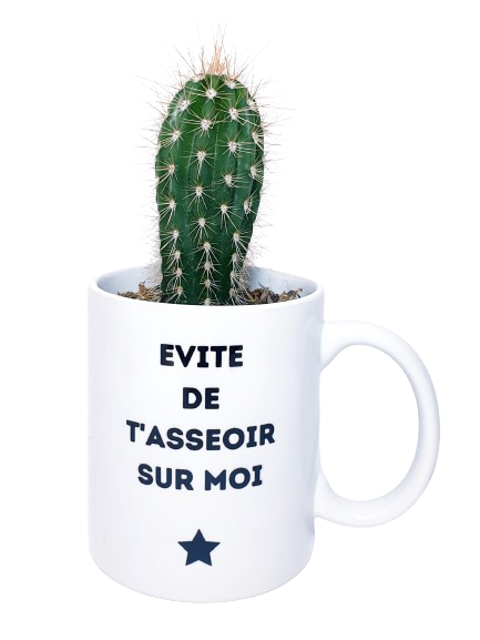 Mug - Evite de t'asseoir sur moi