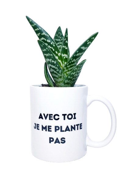 Mug - Avec toi je me plante pas