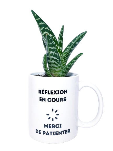 Mug - Réflexion en cours
