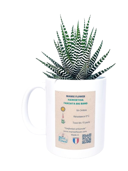 Mug - Chouchou