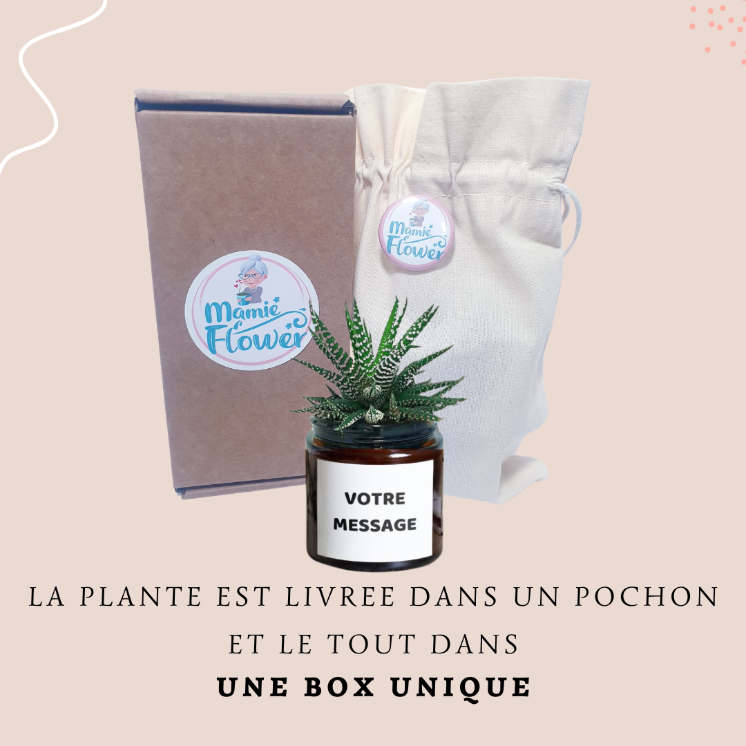 Pot Flower - La fellation c'est la fée qui aide les papas à dormir