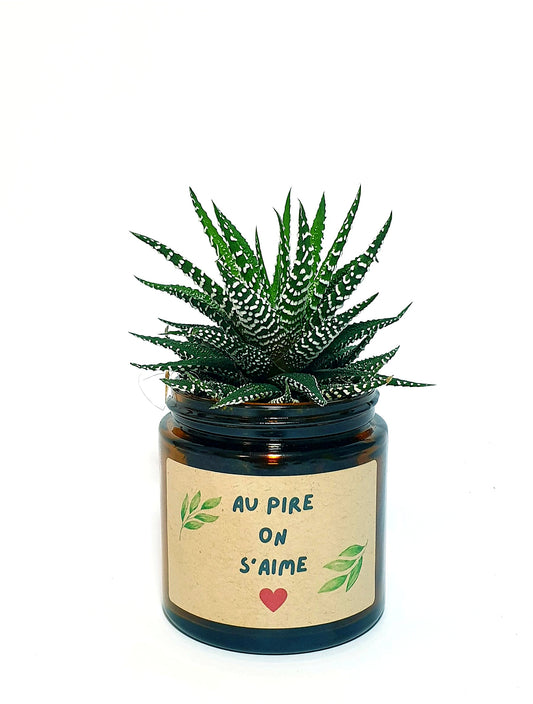 Pot Flower - Au pire on s'aime