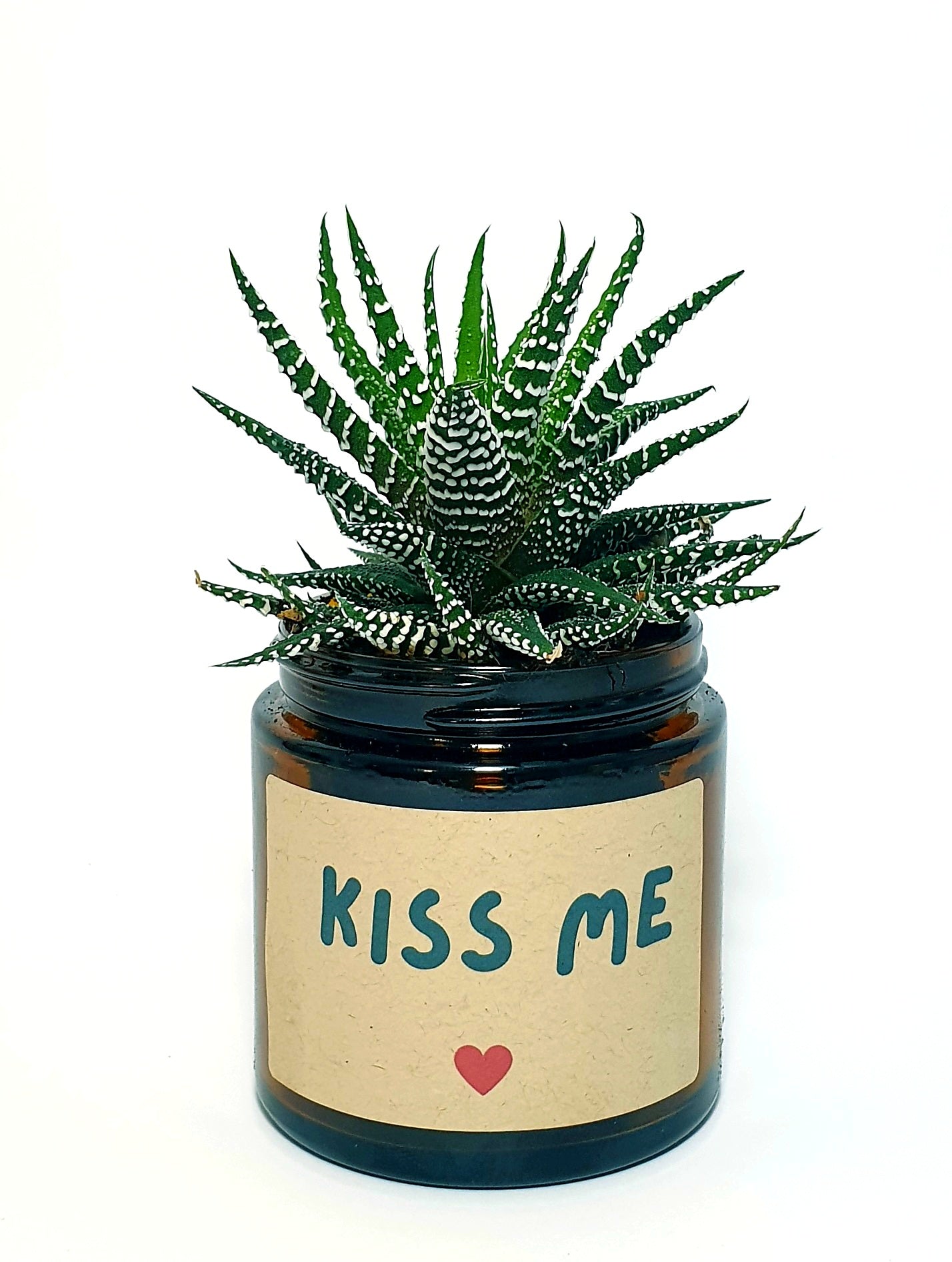 Pot Flower - Kiss me