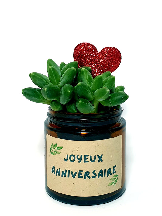 Pot Flower - Joyeux anniversaire