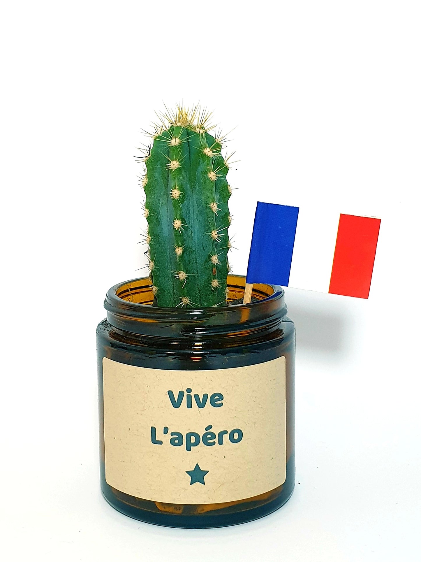 Pot Flower - Vive l'apéro