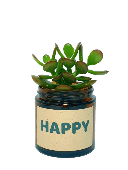 Pot Flower - Happy