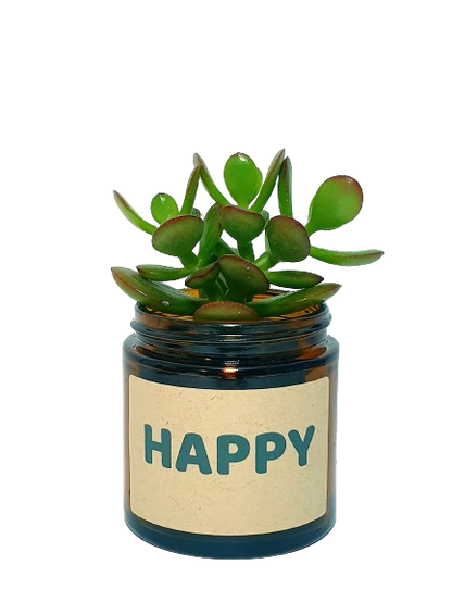 Pot Flower - Happy