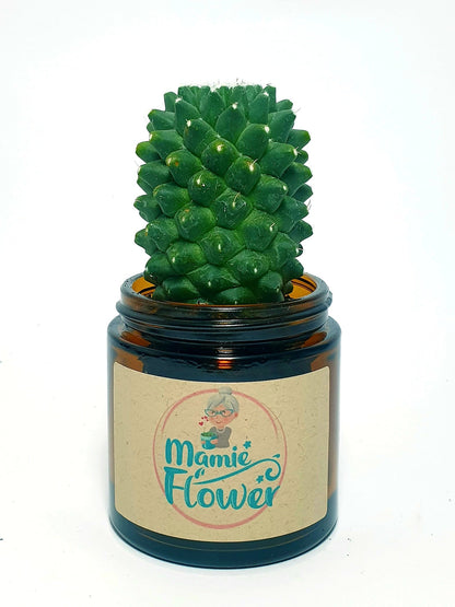 Pot Mamie Flower - Ambré 120 ML