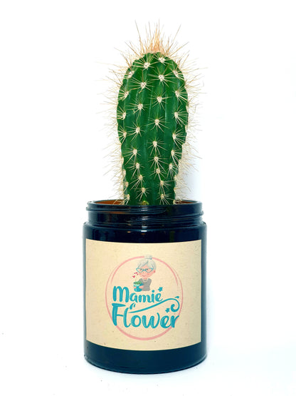 Pot Mamie Flower - Ambré 180 ML