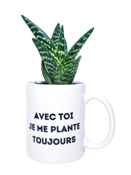 Mug - Avec toi je me plante toujours