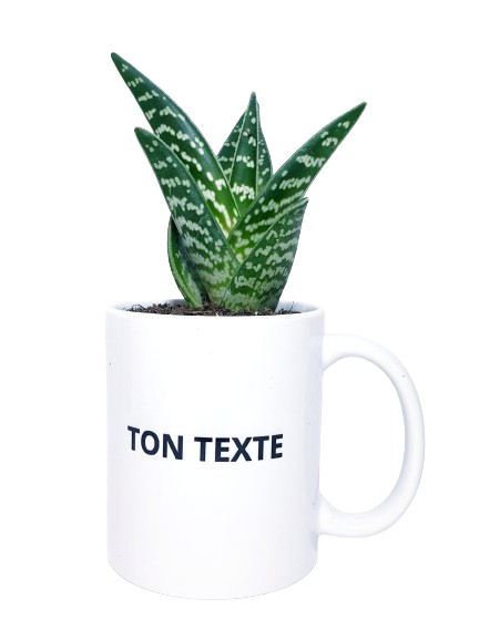 Mug - Ton texte