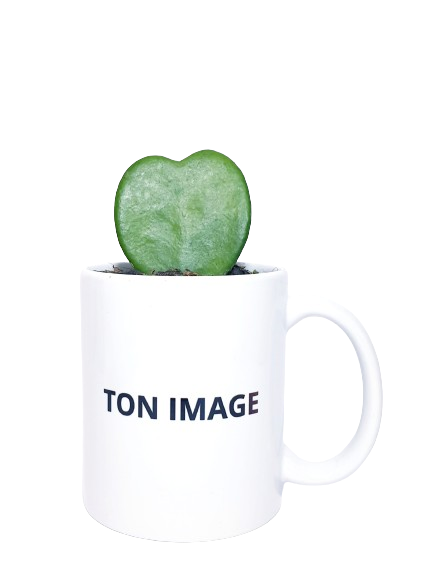 Mug - Ton image