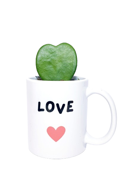 Mug - Love