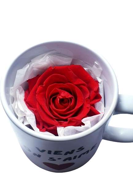 Mug Surprise - Rose éternelle - Viens on s'aime