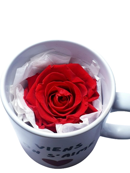 Mug Surprise - Rose éternelle - Viens on s'aime