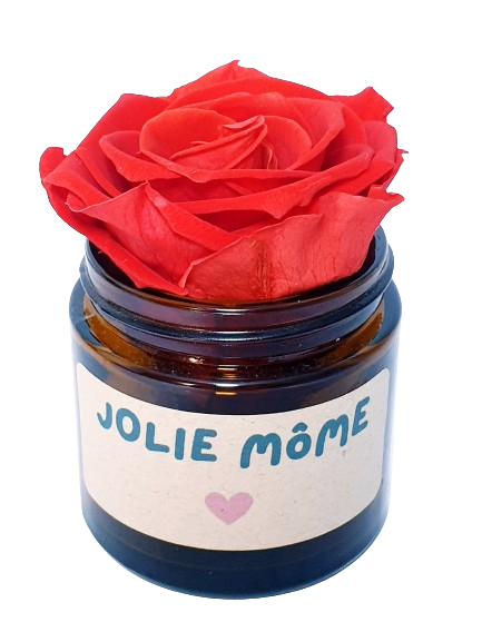 Rose flower - Jolie Môme