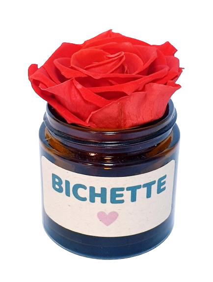 Rose flower - Bichette