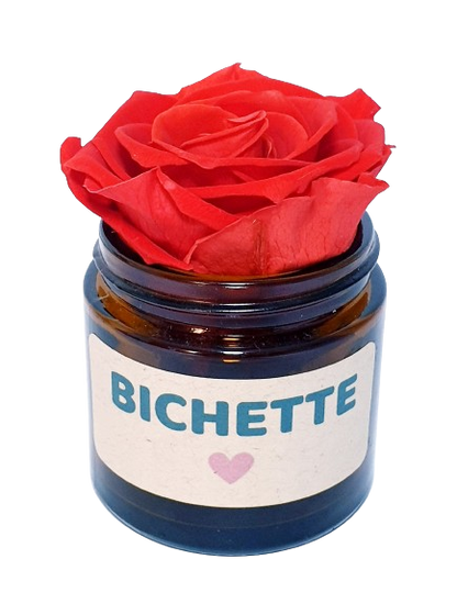 Rose flower - Bichette