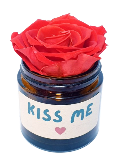 Rose flower - Kiss Me