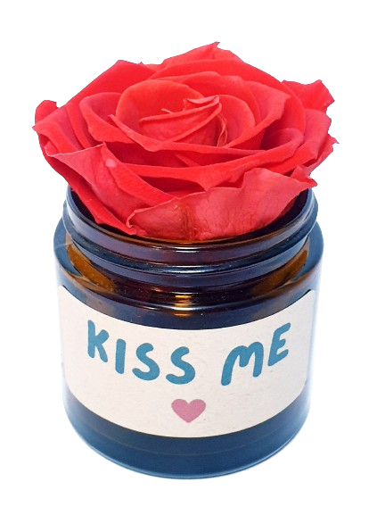 Rose flower - Kiss Me