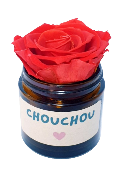 Rose flower - Chouchou
