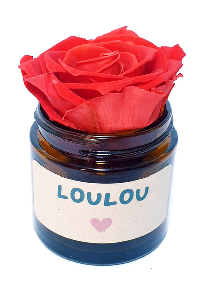 Rose flower - Loulou