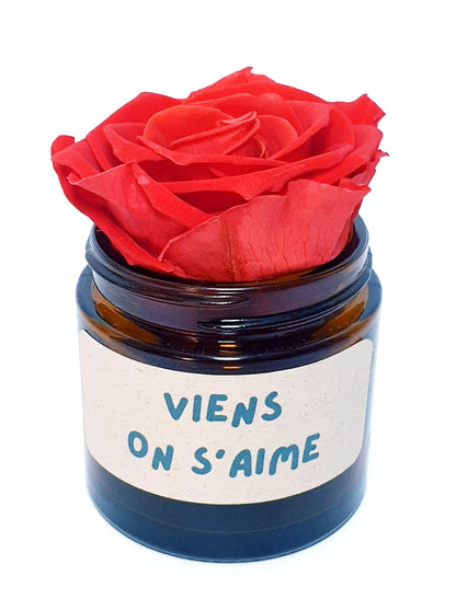 Rose flower - Viens on s'aime