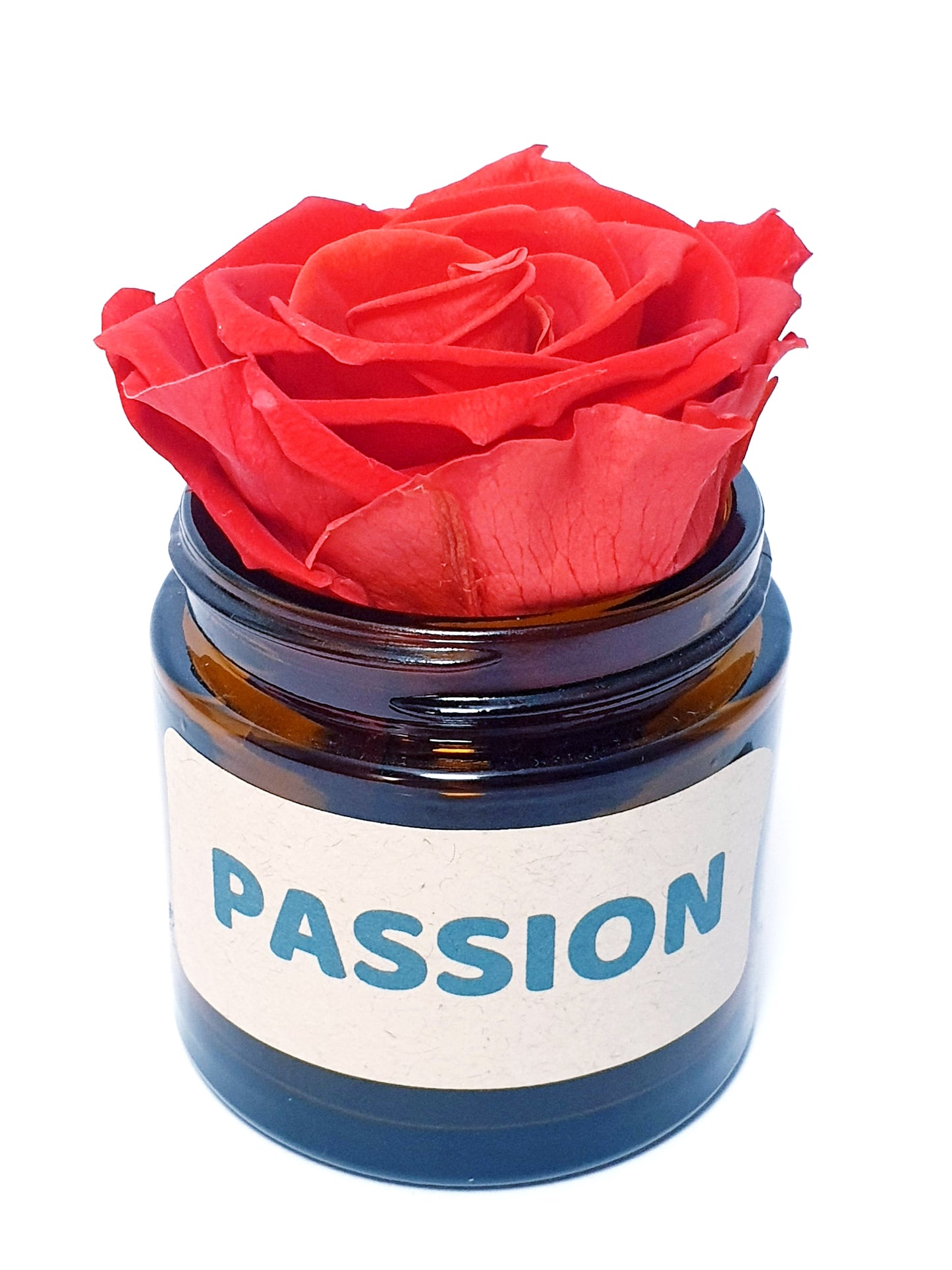 Rose flower - Passion