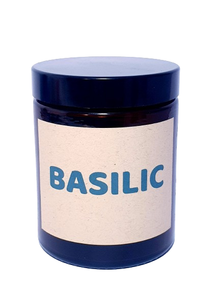 Pot Pousse - Basilic