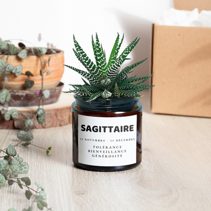 Pot de fleur blanc personnalisé signe astrologique Sagittaire avec plante verte