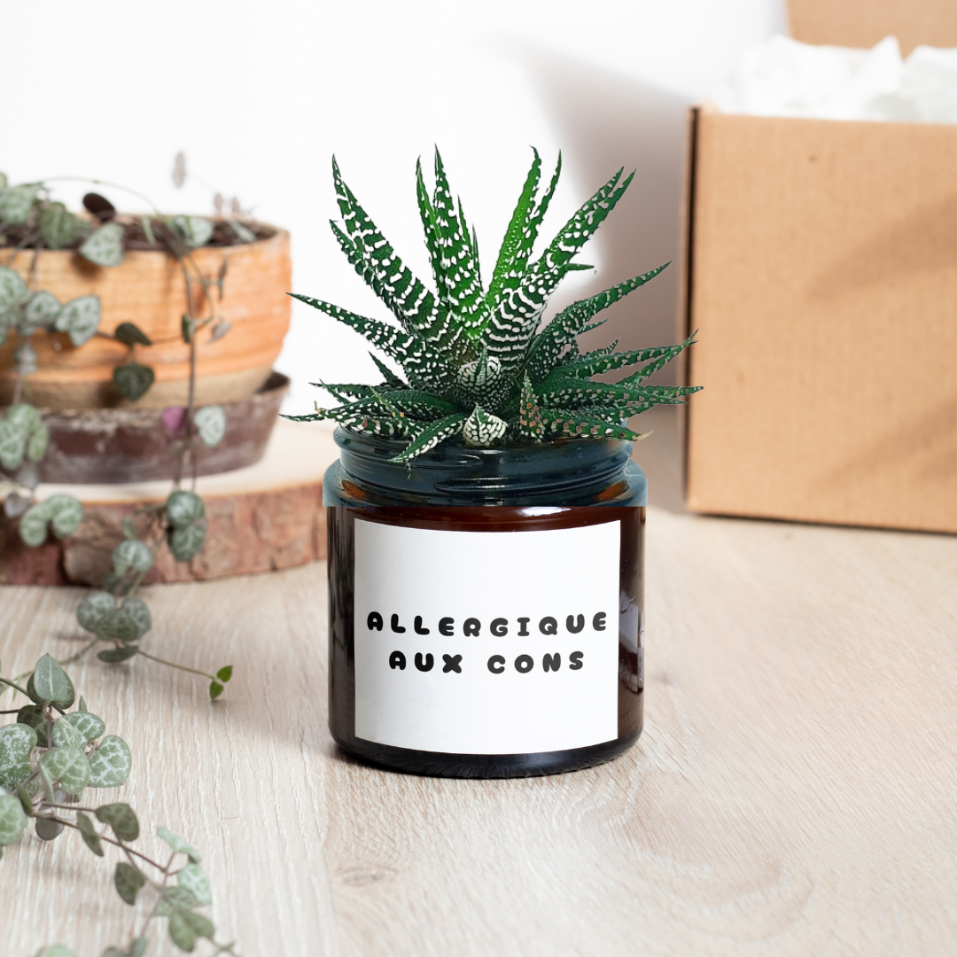 Pot de fleur blanc personnalisé message Allergique aux cons
