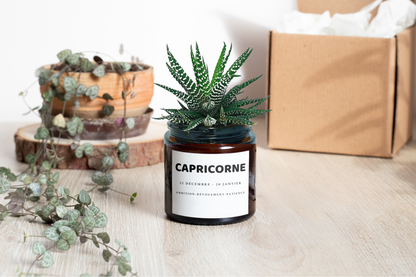 Pot Flower - Capricorne