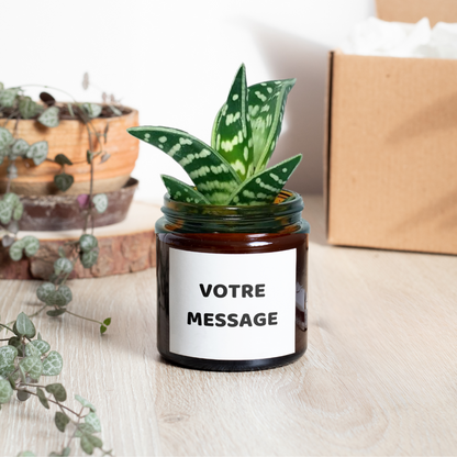 Petite succulente d'intérieur dans son pot personnalisé, décoration naturelle et message sur mesure.