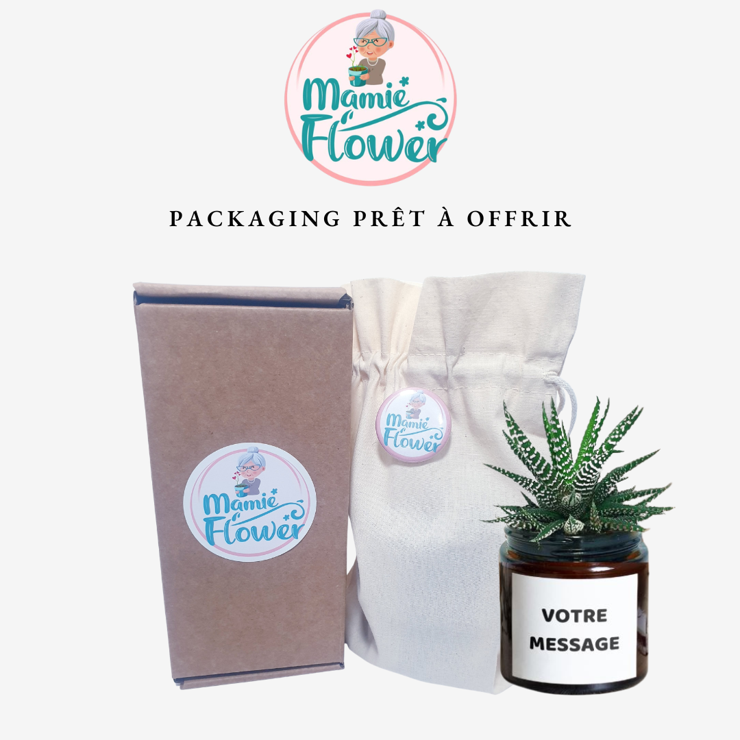 emballage-securise-plantes-personnalisees-mamie-flower