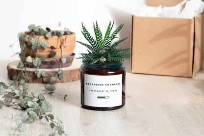 Pot Flower - Prochaine connerie, chargement en cours
