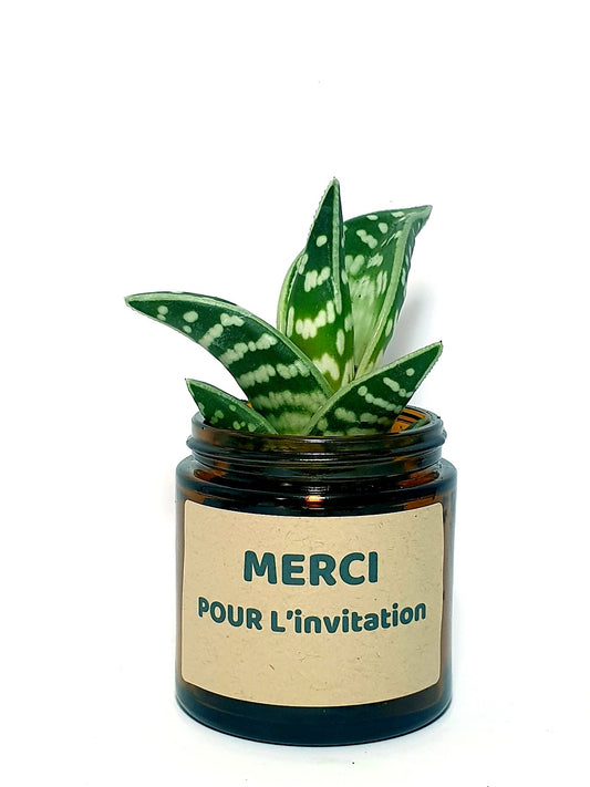 Pot Flower - Merci pour l'invitation